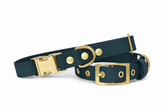Collier Vert - Biothane